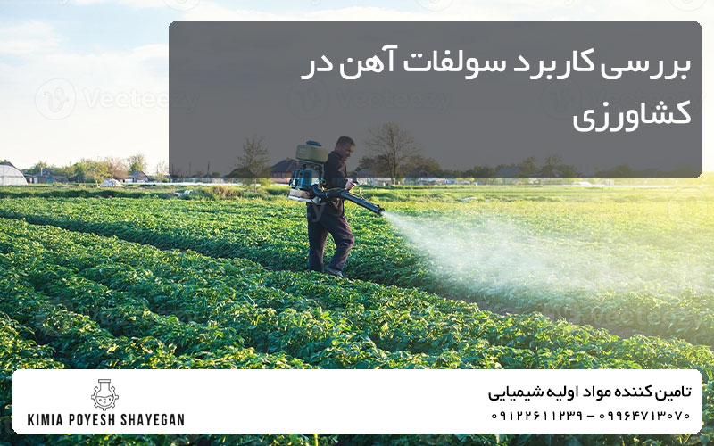 تصویر استفاده از سولفات آهن در کشاورزی کیمیا پویش شایگان