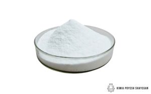 استات منیزیم کلسیم-کیمیا پویش شایگان-1