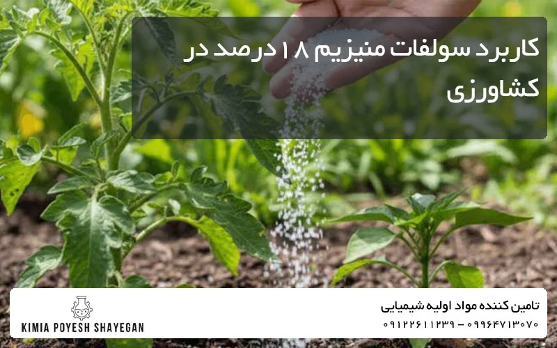 تصویر استفاده از سولفات منیزیم 18درصد در کشاورزی کیمیا پویش شایگان