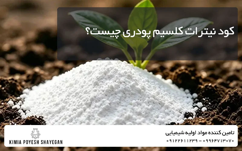 بررسی کیمیا پویش شایگان درباره کود نیترات کلسیم پودری