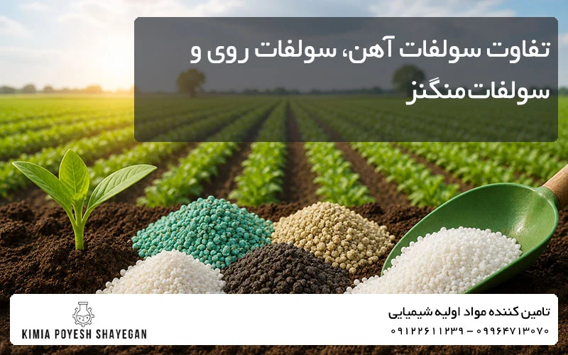 تصویری از تفاوت سولفات آهن، سولفات روی و سولفات منگنز در کشاورزی کیمیا پویش شایگان