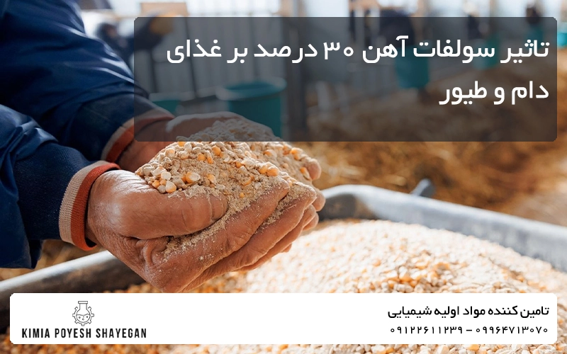 تصویر بهبود غذای دام و طیور با سولفات آهن 30% کیمیا پویش شایگان