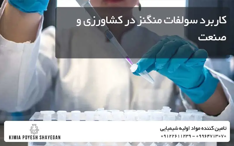تصویر کاربرد سولفات منگنز در کشاورزی و صنعت کیمیاپویش شایگان
